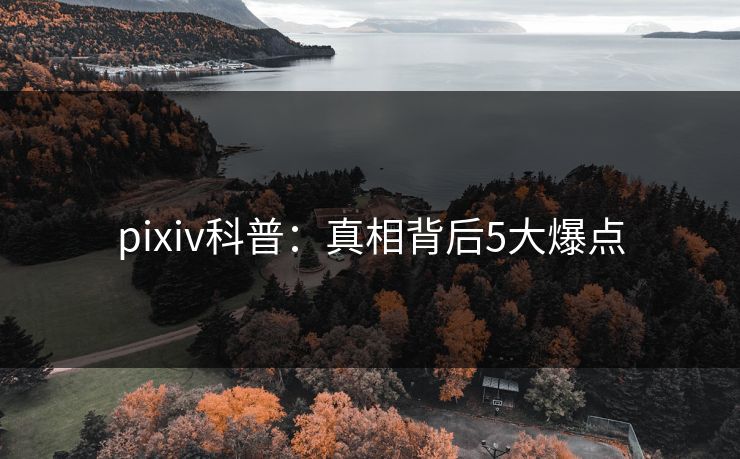 pixiv科普：真相背后5大爆点