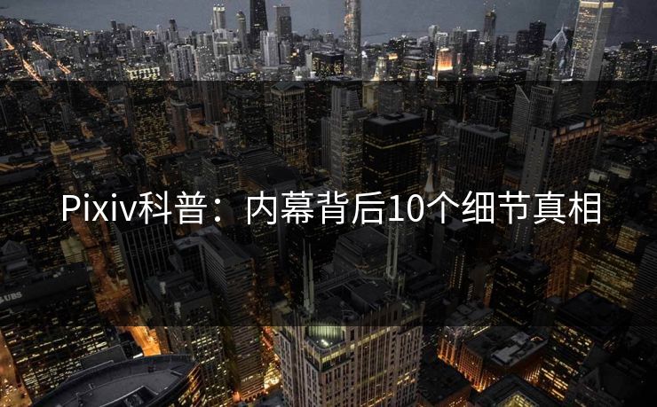 Pixiv科普:内幕背后10个细节真相 Pixiv科普:内幕背后10个细节真相