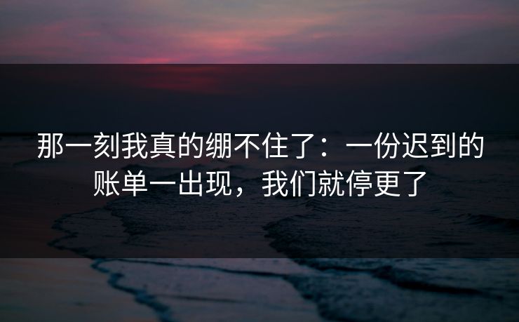 那一刻我真的绷不住了：一份迟到的账单一出现，我们就停更了