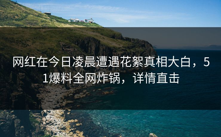 网红在今日凌晨遭遇花絮真相大白,51爆料全网炸锅,详情直击 网红在今日凌晨遭遇花絮真相大白,51爆料全网炸锅,详情直击