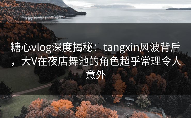 糖心vlog深度揭秘：tangxin风波背后，大V在夜店舞池的角色超乎常理令人意外
