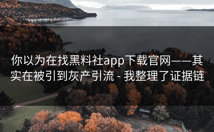 你以为在找黑料社app下载官网——其实在被引到灰产引流 - 我整理了证据链 你以为在找黑料社app下载官网——其实在被引到灰产引流 - 我整理了证据链